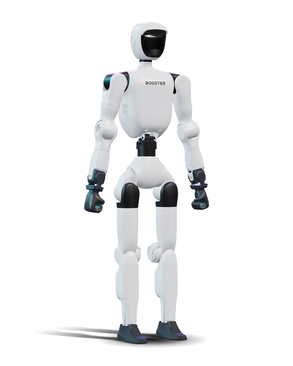 Booster T2, Humanoid robot with 7-joint arms